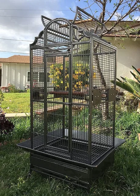 Bird Parrot 30.5 inches 29.5 inches 63 inches