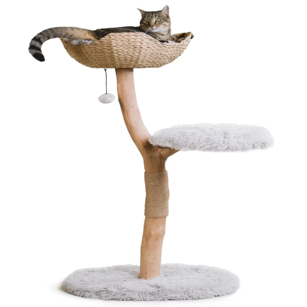 Furniture gray