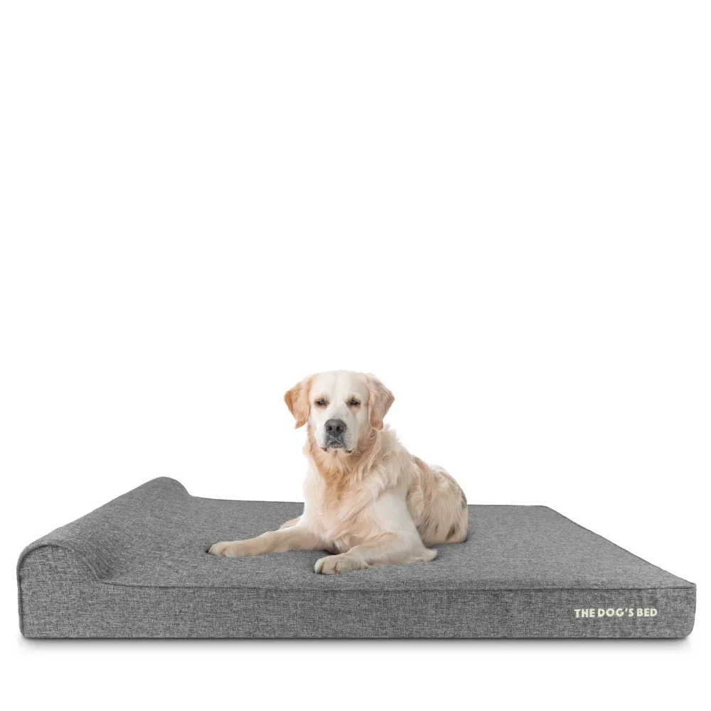 Dog Bed 6" waterproof grey