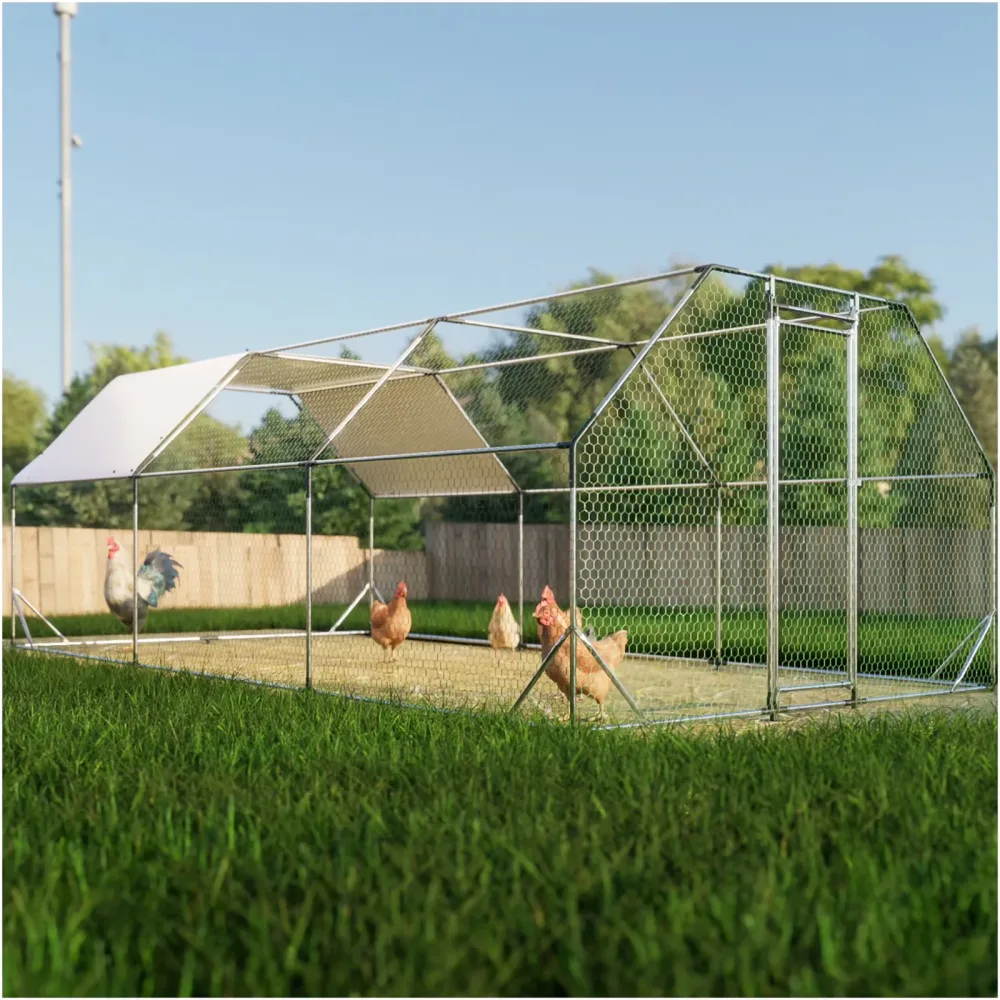 Chicken Coop 6.36 ft 10 ft 20 ft