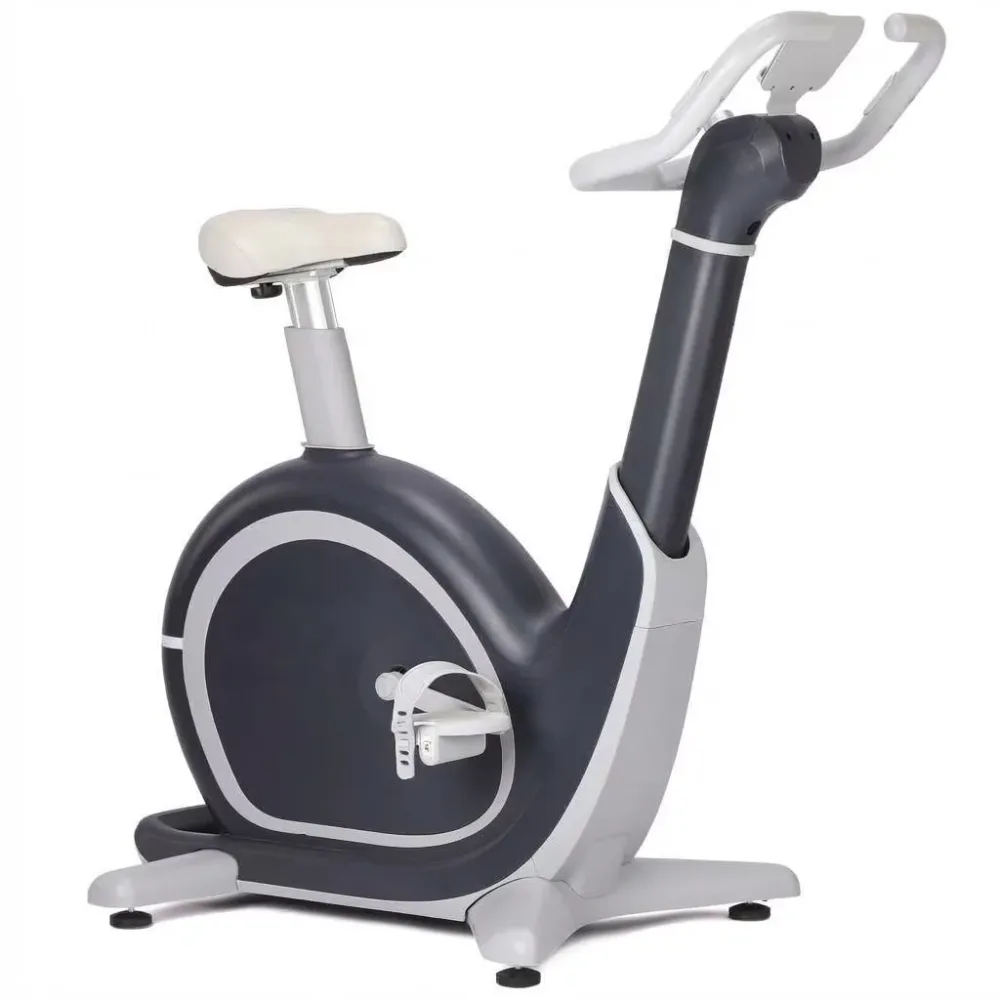 Exercise Bike 350 lbs 11 inches adjustable