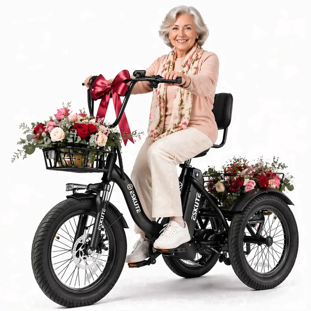 Electric Tricycle 750w folding black