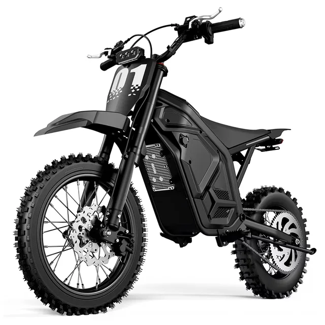 Dirt Bike 5500w 60v 14"