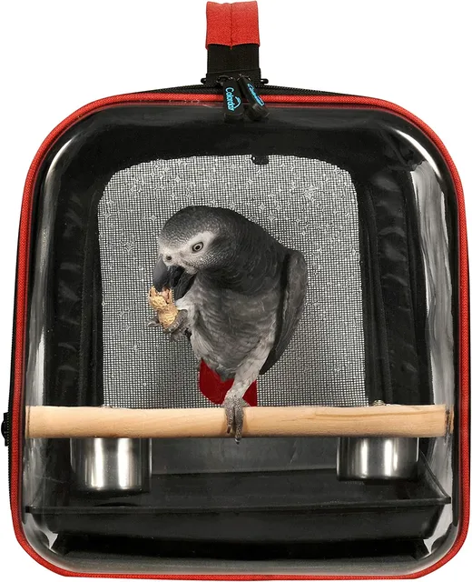 Bird 13 inch black 11"
