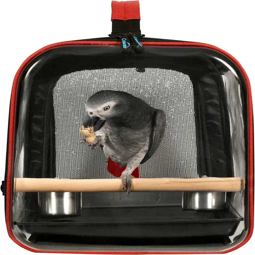 Bird 13 inch black 11"