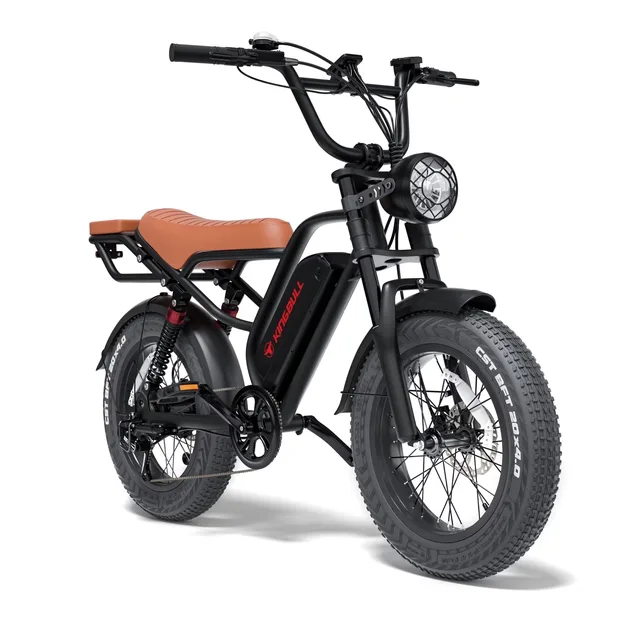 Electric Bike 750w 20" adjustable
