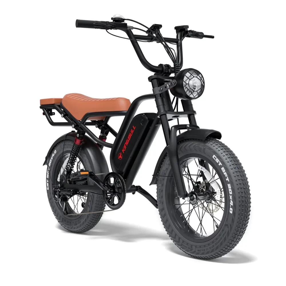 Electric Bike 750w 20" adjustable