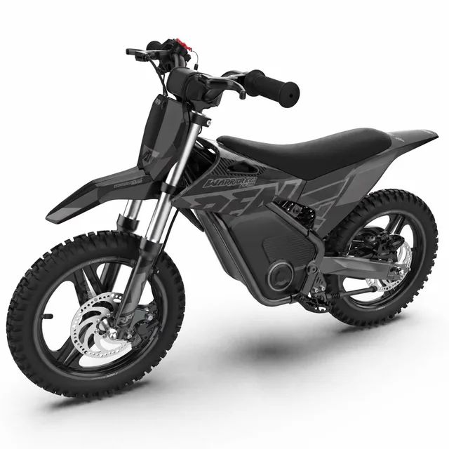 Dirt Bike 36v 400w black