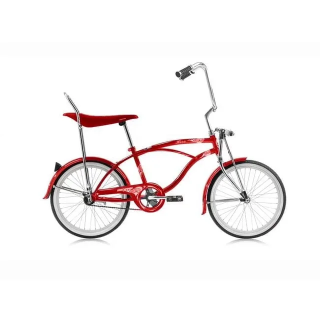Cruiser Bike 20" 2.125" 20'