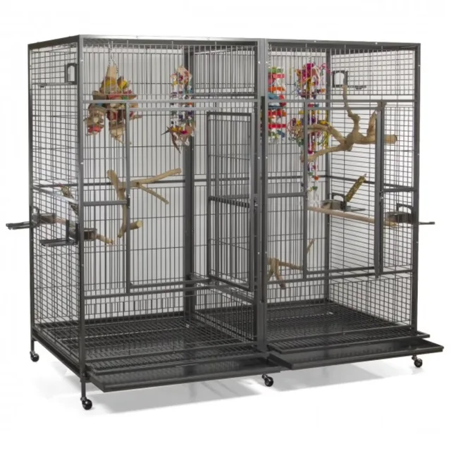Bird Care black