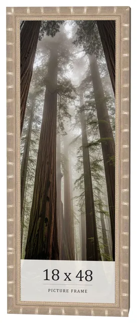 Frame 1.75 inches silver brown