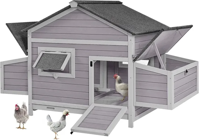 Chicken Coop