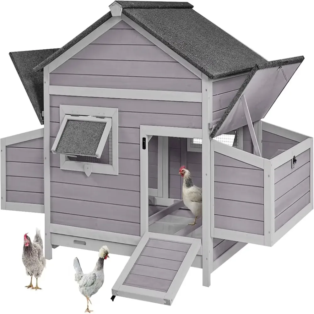 Chicken Coop