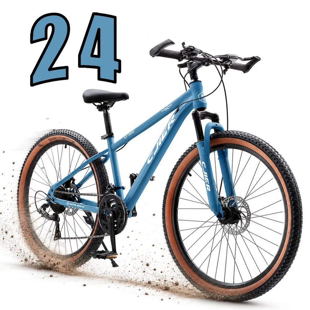 Mountain Bike 20 inch 24 in gray