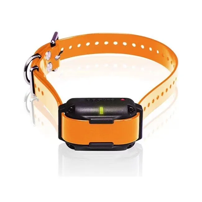 Extra Collar orange 8" 4"