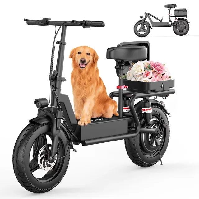 Electric Scooter 749w 48v foldable