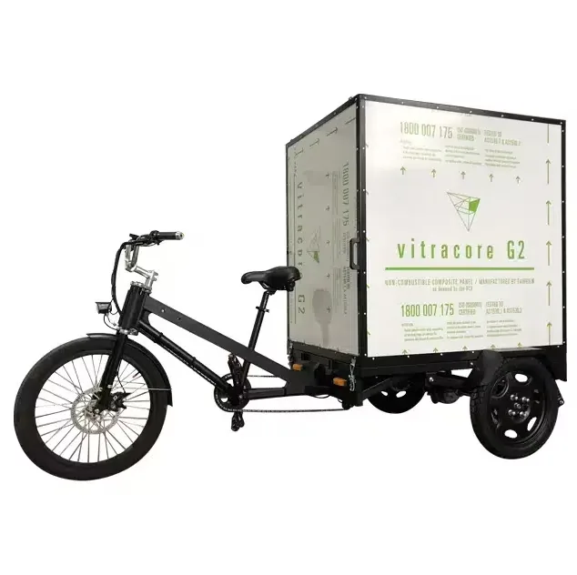 Electric 500w 48v 660 lb