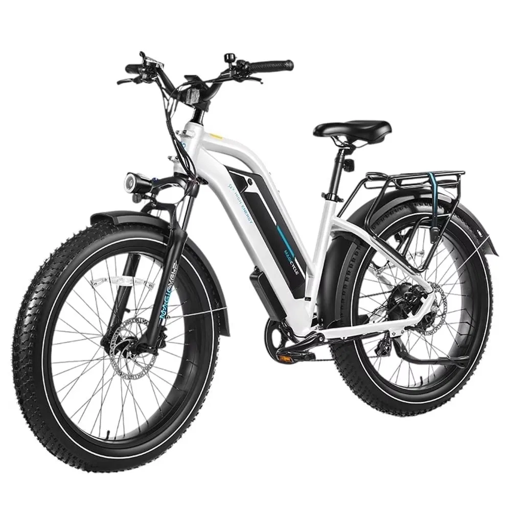 Electric Bike 750w 52v 4 inch