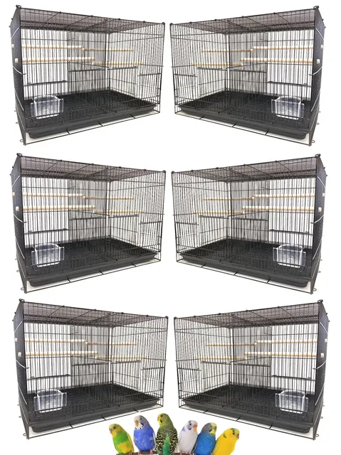 Breeder Bird 24" 16"