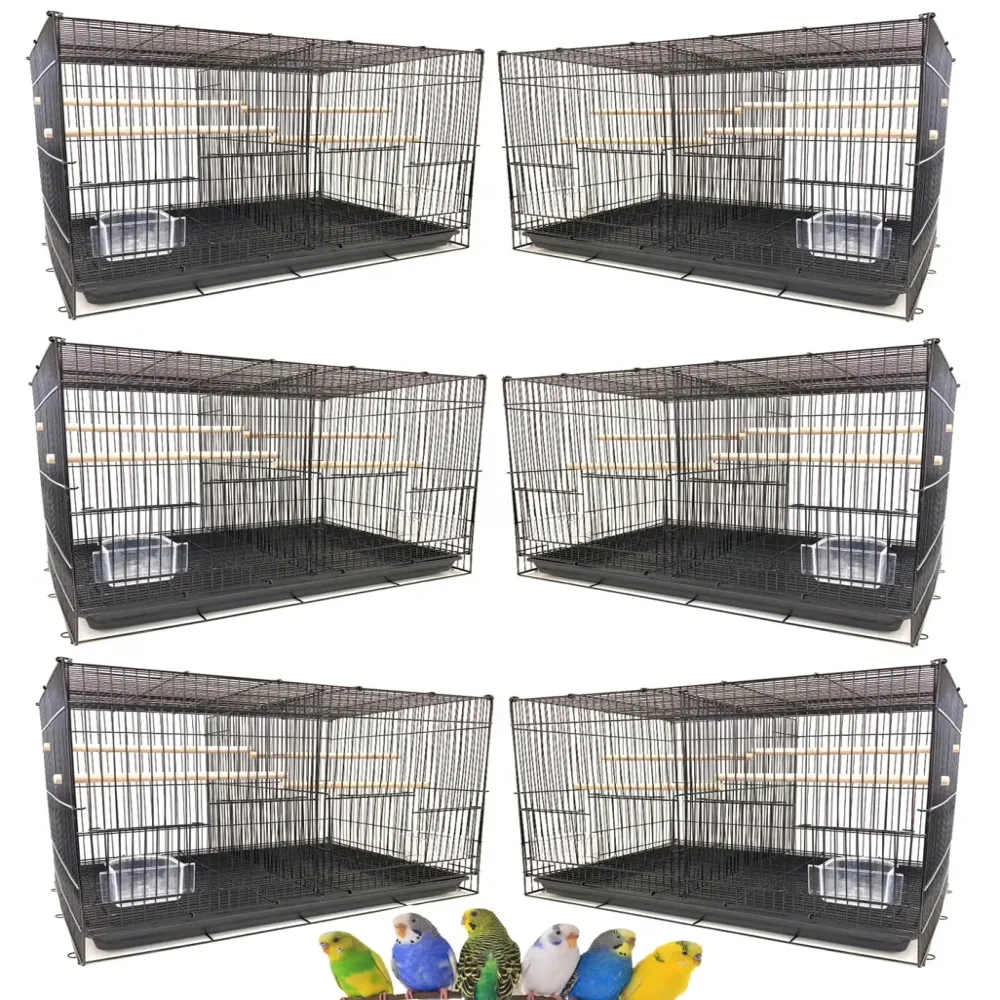 Breeder Bird 24" 16"