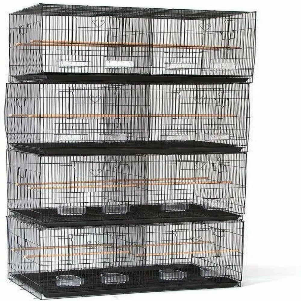 Bird black 2 inch