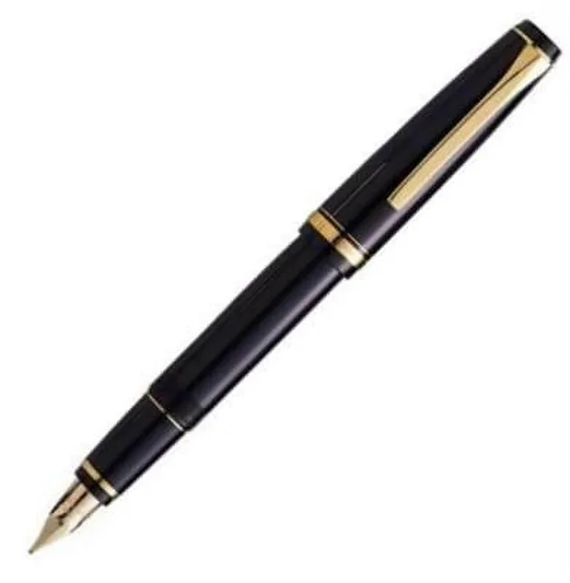 Fountain Pen black