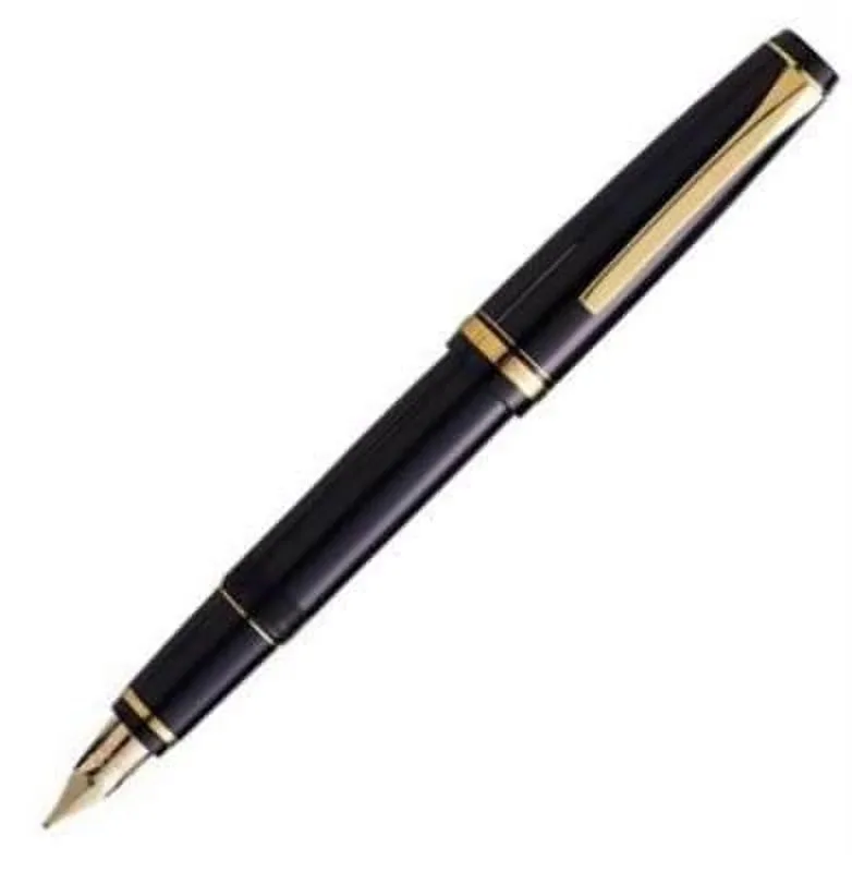 Fountain Pen black