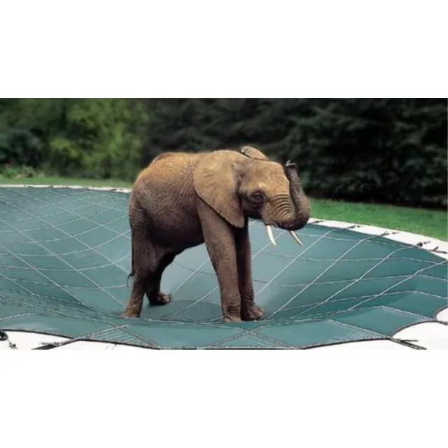 Safety Pool