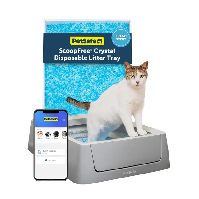 Cat Litter gray