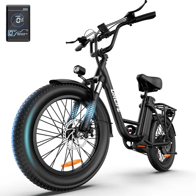 Electric Bike 20" 750w 48v