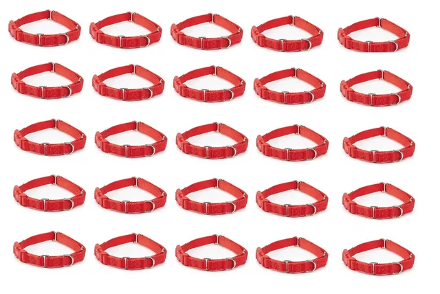 Dog Collar 10" 16" red