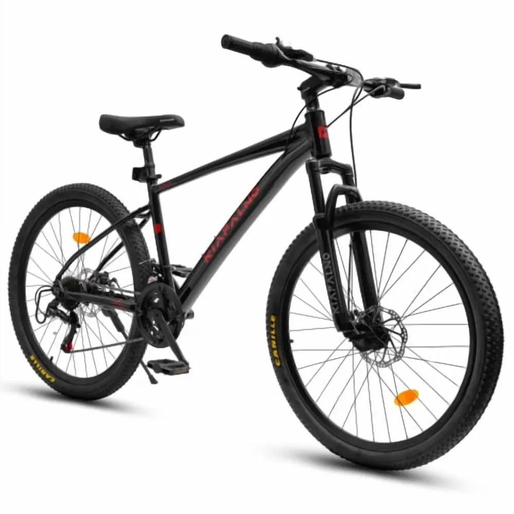 Mountain Bike 24 inch 24 in black