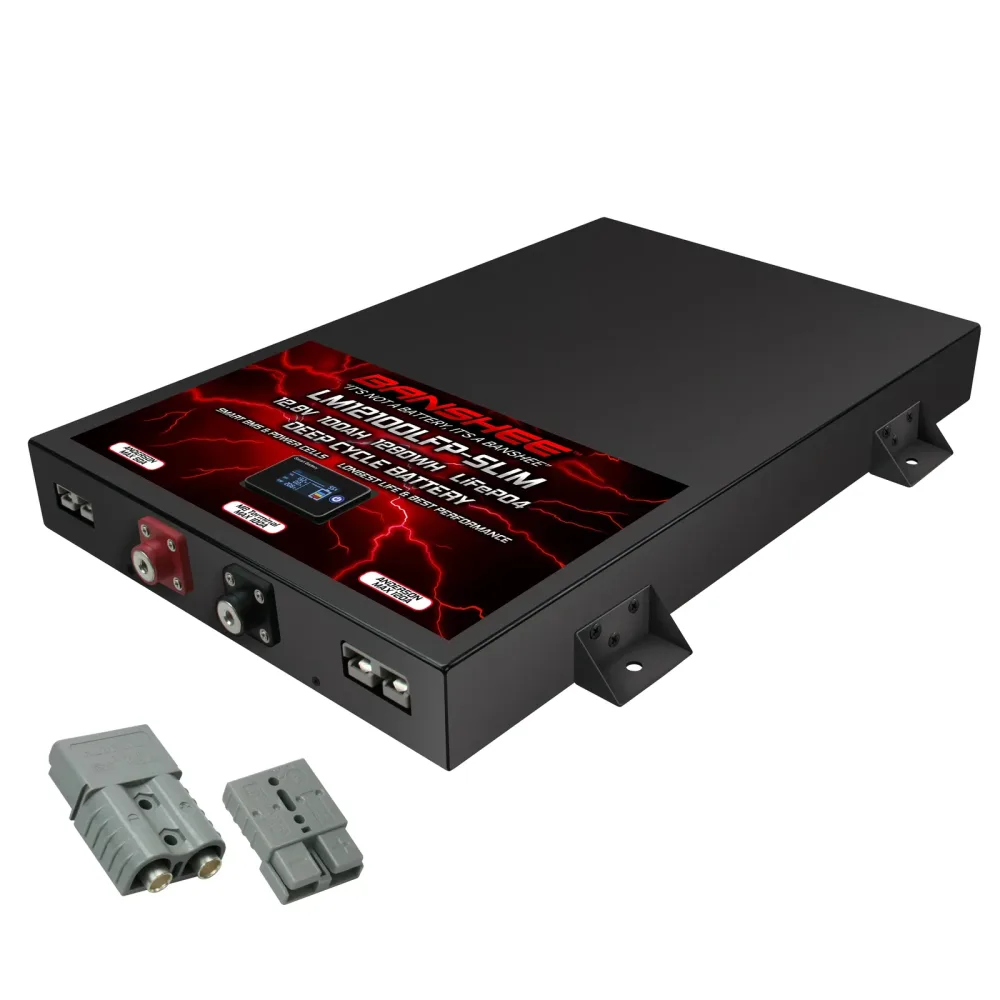 Inverter 12v 12.8v 20.67"