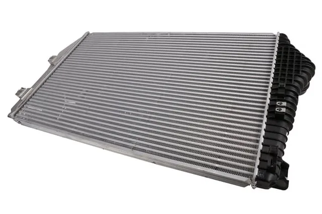 Cooler 48.0" 10.0" 35.0"