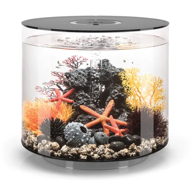 Standard Light 9.2 gallon black led
