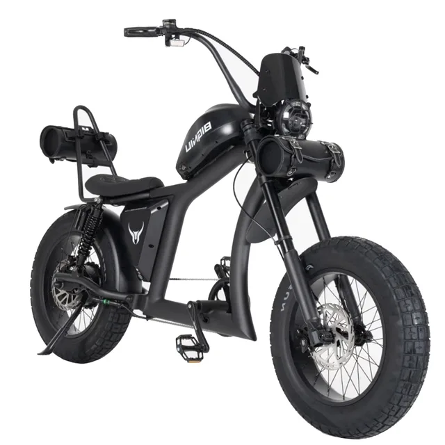 Electric Bike 749w 52v black
