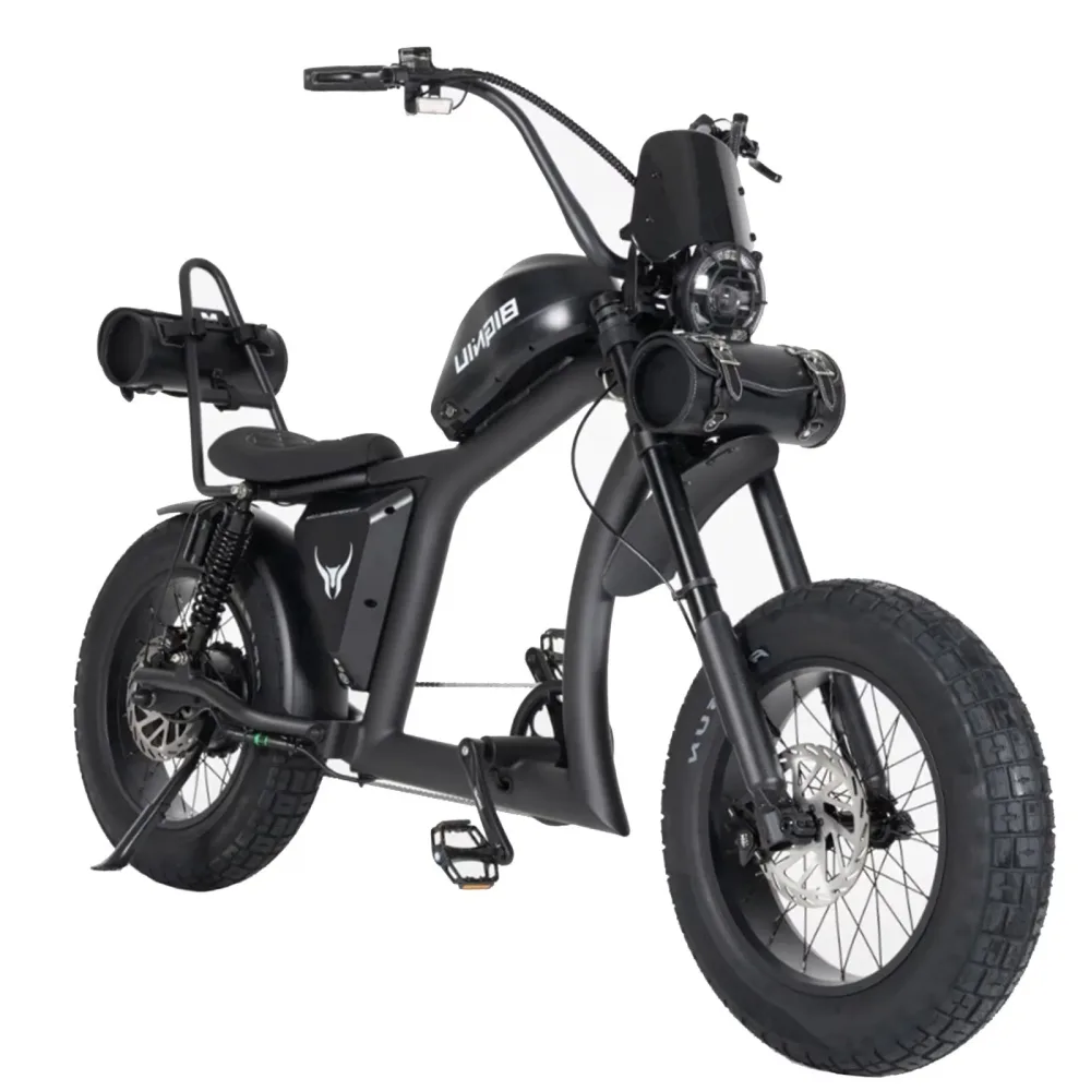 Electric Bike 749w 52v black