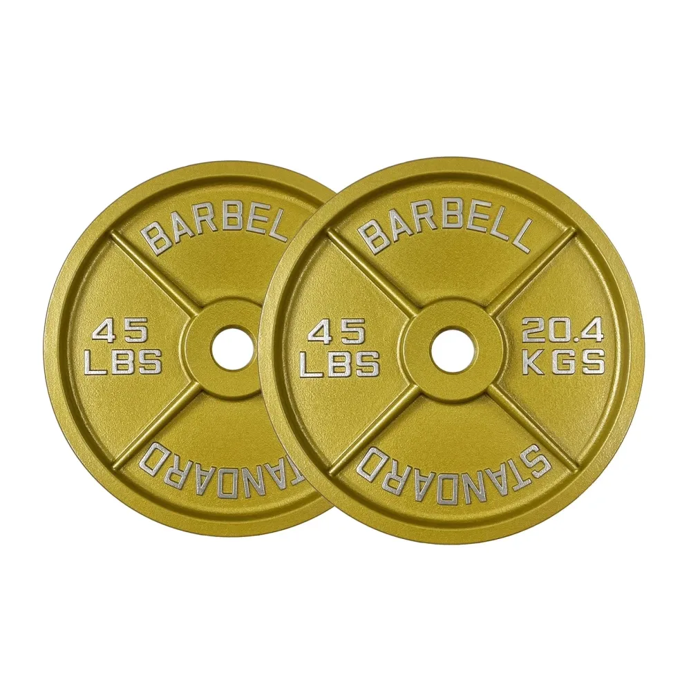 Plate Pair 45lb 2 inch 45 pound