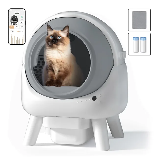 Cat Litter