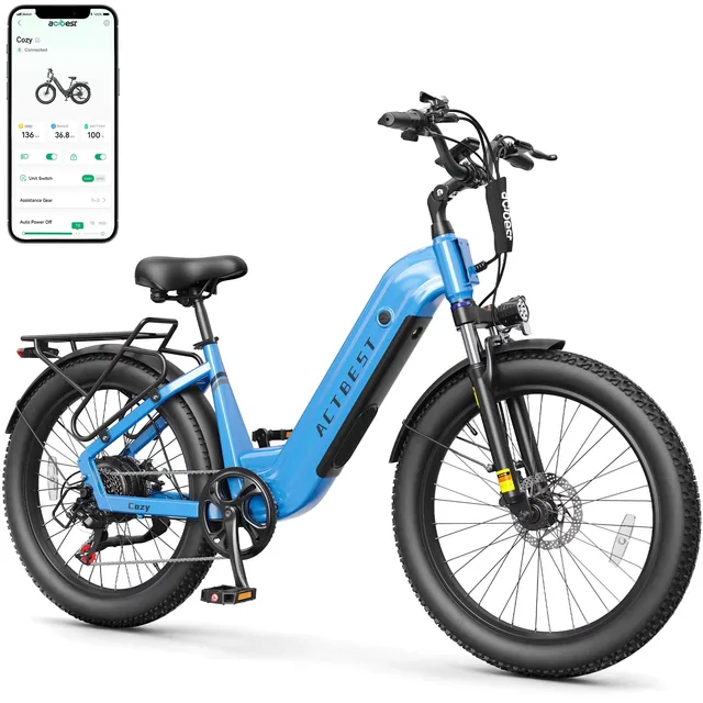 Electric Bike 750w 48v 24"