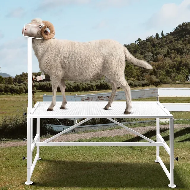 Table adjustable gray 330.7 lbs
