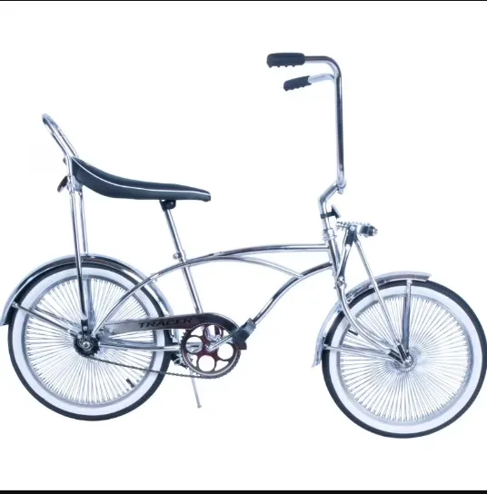 Cruiser Bike 20" 20 in