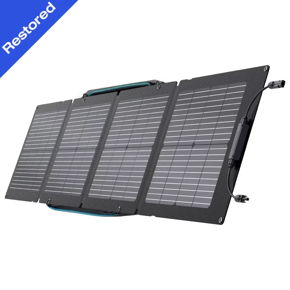 Portable 110w 110 w