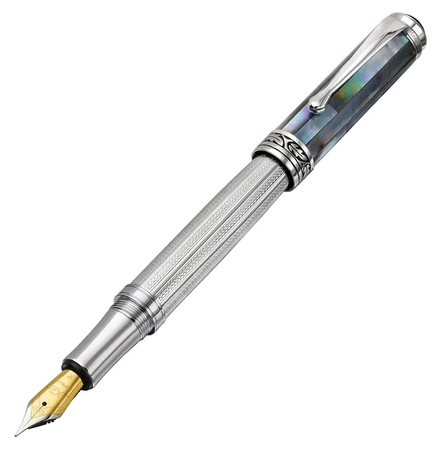 Fountain Pen silver black