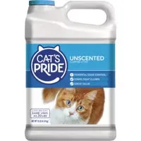 Cat Litter 10 lb