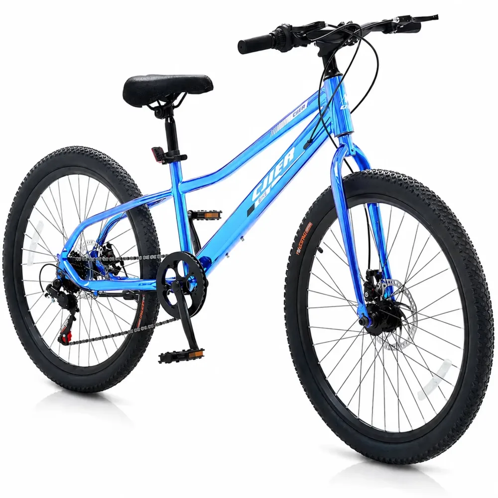 Bike 20 inch 24 in blue