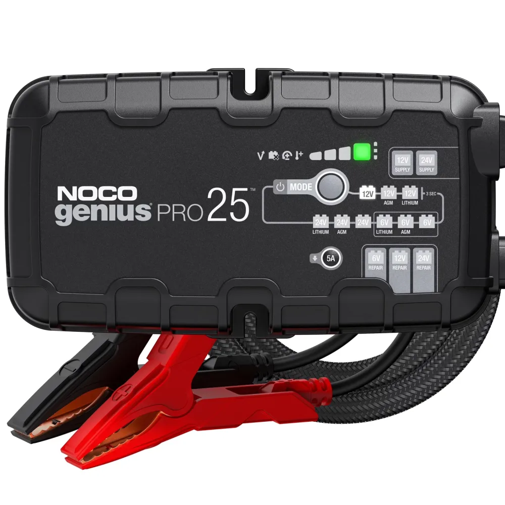 Battery Charger 6v 12v 24v