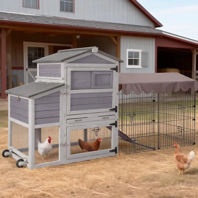Chicken Coop gray 79.1" 25.2"
