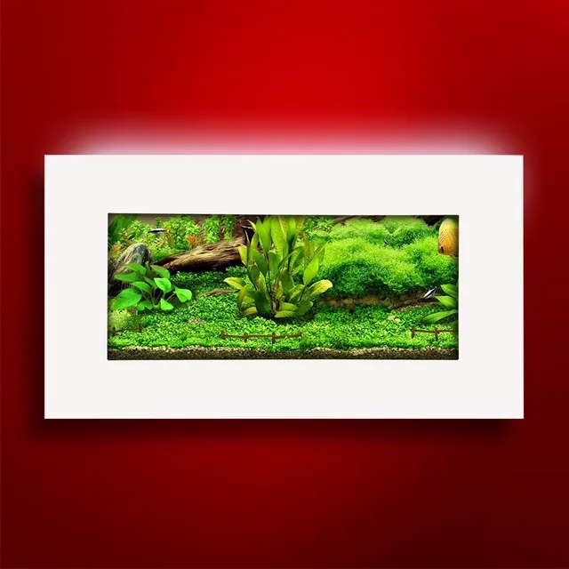Fish Tank 2 gallon 4.5 inches led