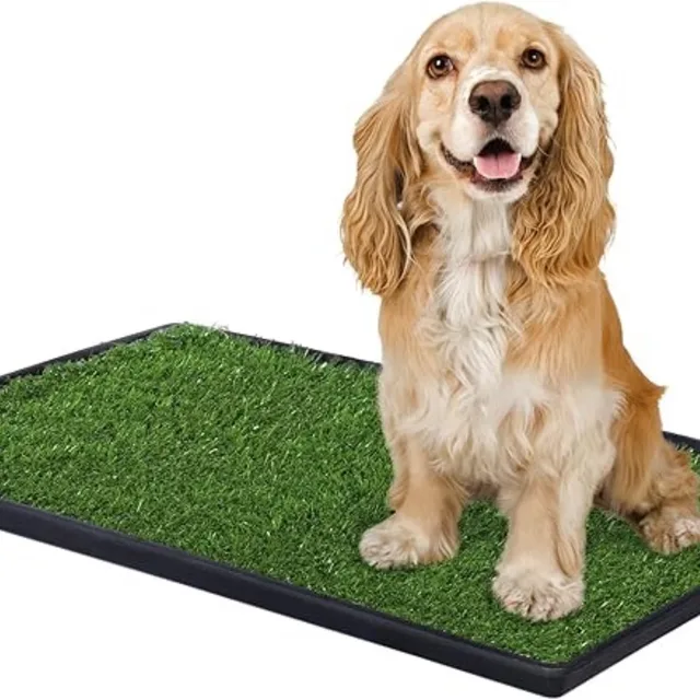 Health & Grooming portable green